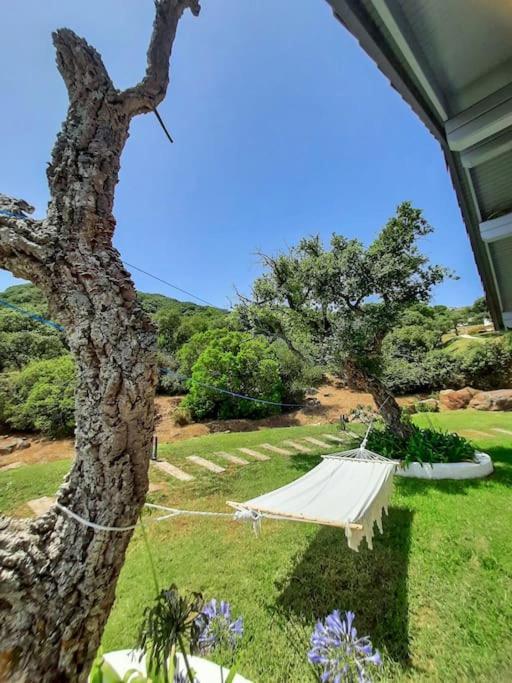 Casa Micheal - Luxury Villa - El Cuarton, Tarifa Eksteriør billede